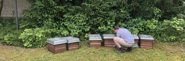 Bienenstöcke in Putzbrunn